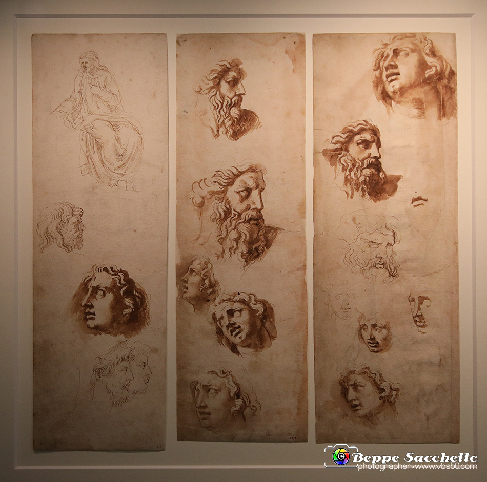 VBS_0060 - Mostra Nel segno di Raffaello.jpg